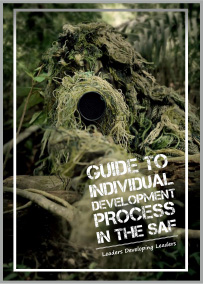 Guide to individual development process in the SAF