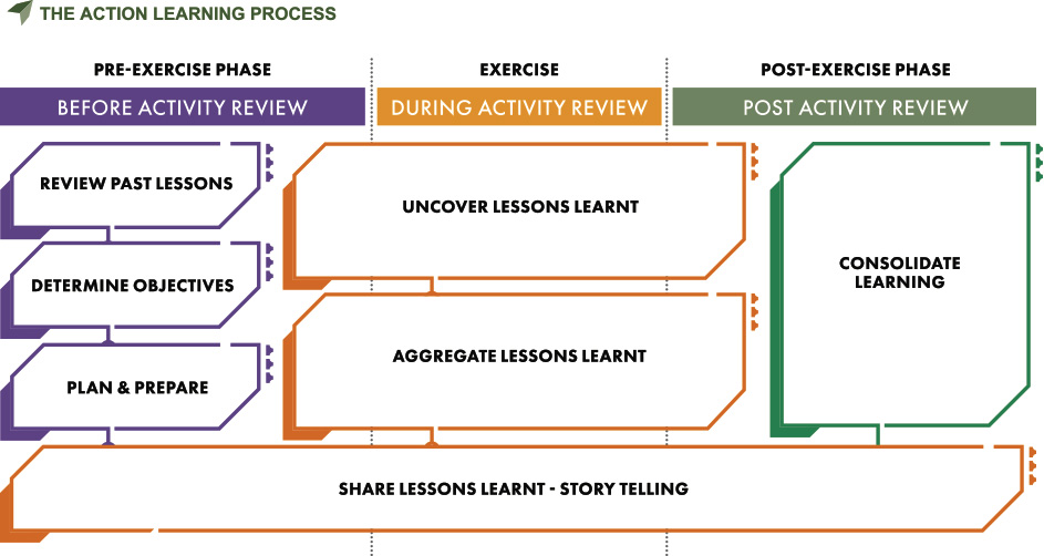 The Action Learning Process